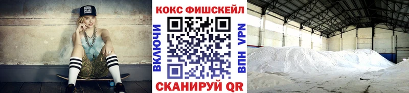 Кокаин FishScale  купить наркоту  Дмитров 