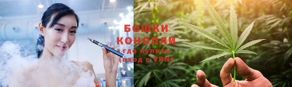 прущие крисы Аркадак