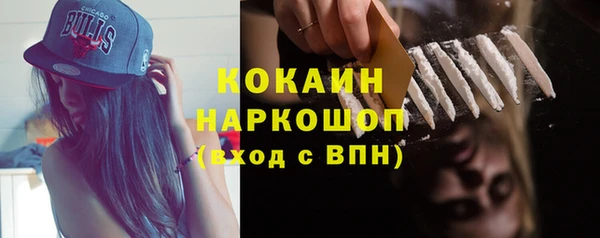 дмт Арсеньев