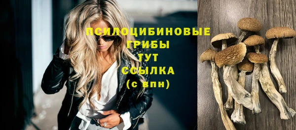 прущие крисы Аркадак
