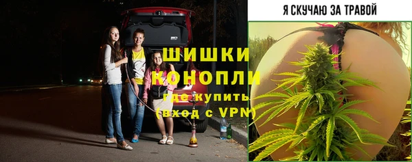 дмт Арсеньев