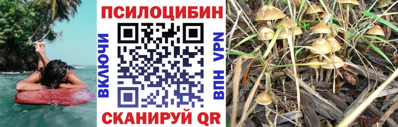 Псилоцибиновые грибы Magic Shrooms  где продают   Дмитров 