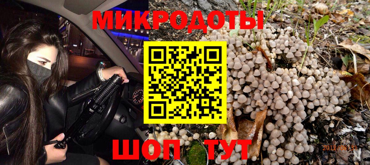 Псилоцибиновые грибы Magic Shrooms Дмитров